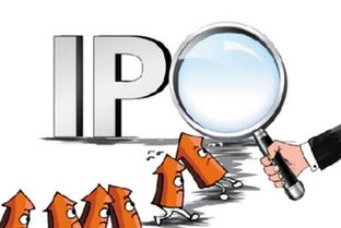 掌阅科技(603533)中签号公布时间与号码查询